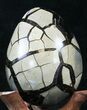 Septarian Dragon Egg Geode - Black Calcite Crystals #33979-3